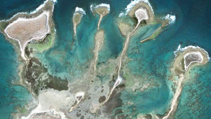 Ambiente y Río Negro impulsarán un nuevo parque nacional en el área del Complejo Islote Lobos