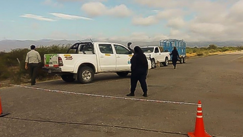 Ambiente labró nueve actas por ataques a la flora y fauna de San Juan