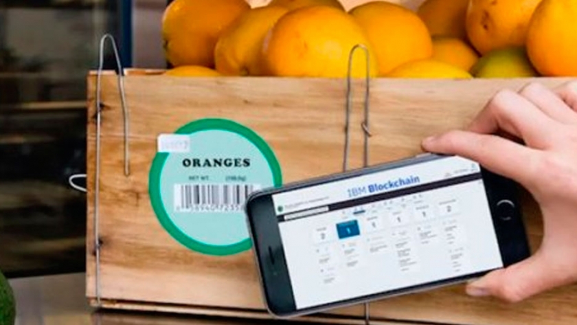 Inteligencia Artificial, Cloud y Blockchain: cómo pueden contribuir a la sustentabilidad alimenticia