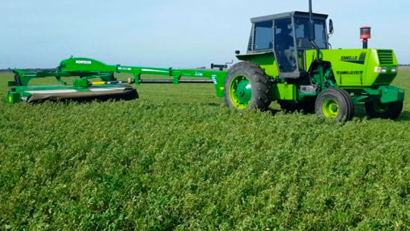 Sembrando alfalfa: Cómo lograr más del 70% de efectividad en plántulas logradas
