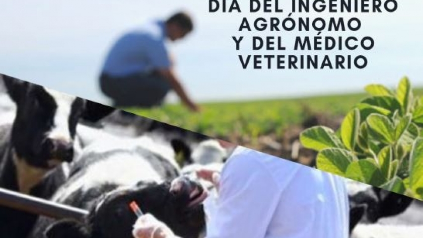 Día del Ingeniero Agrónomo y del Veterinario: por qué se celebra el 6 de agosto