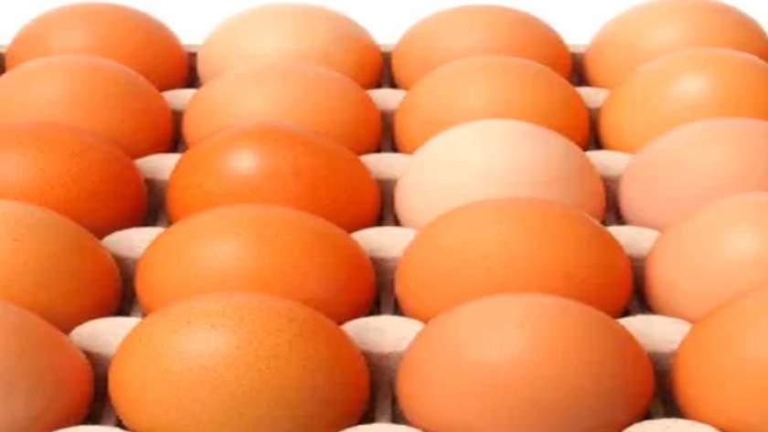 Propuesta de etiquetado de huevos por sistema de producción en Colombia
