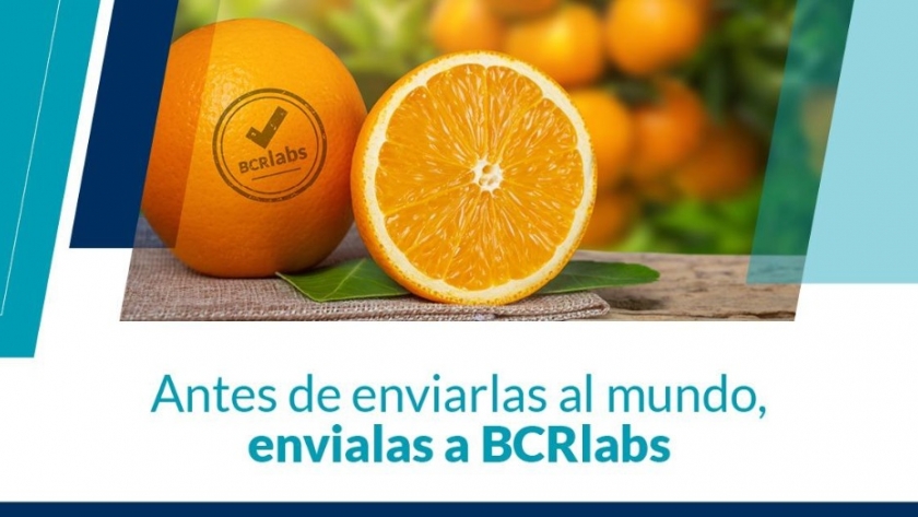 BCRlabs, el laboratorio de la Bolsa de Comercio de Rosario, ya comenzó a realizar análisis de plaguicidas en frutas y hortalizas