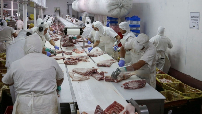 Productores de cerdo piden no paralizar frigoríficos cada vez que se detecta un caso de Covid-19