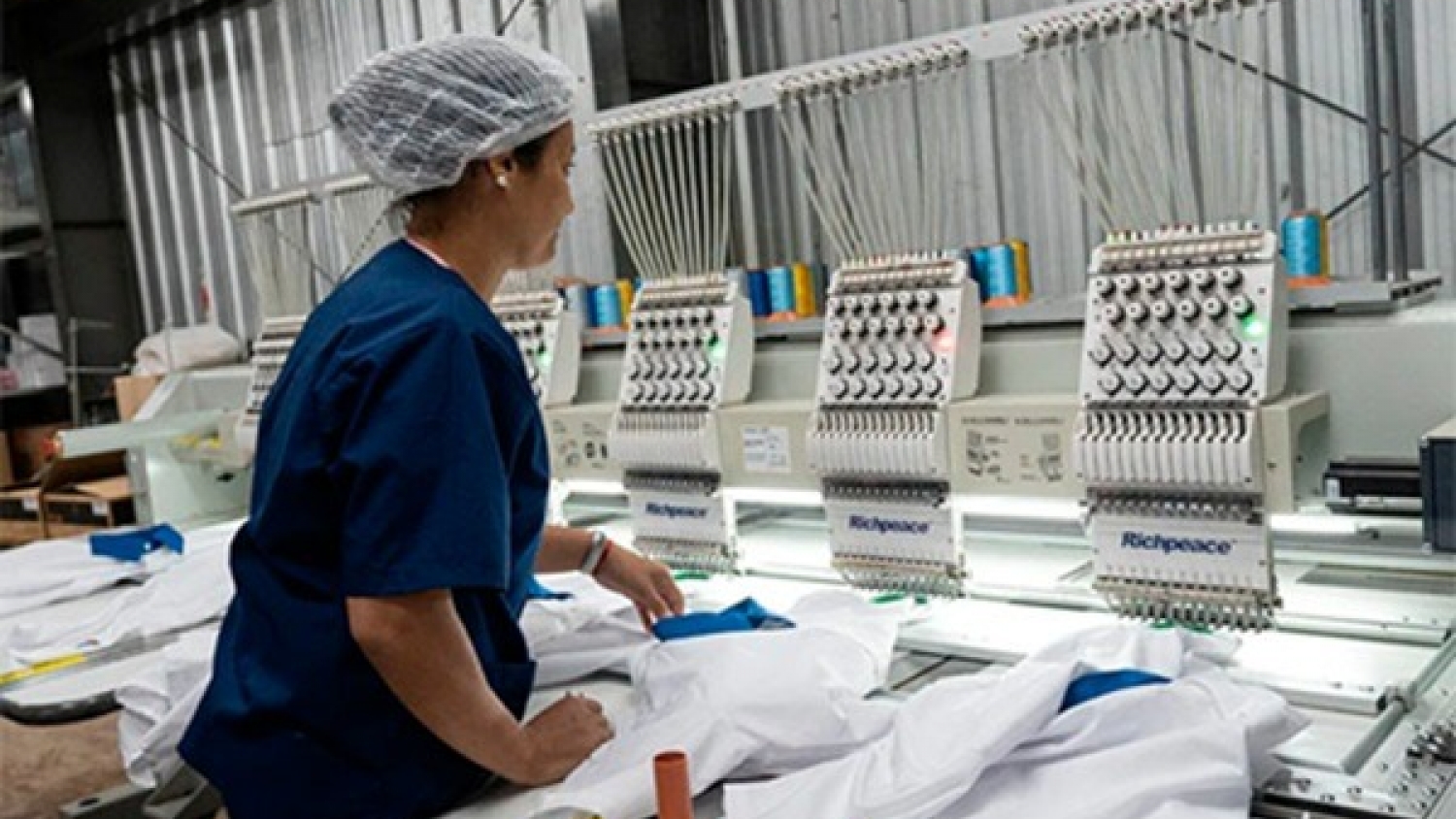 La cadena textil impulsa un plan para mejorar la calidad del algodón desde la semilla