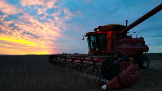 Financiamiento para el agro: cuáles son las tasas de interés más elegidas por los productores para en la campaña 2024/25