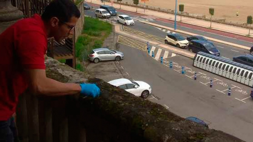 Musgos que sirven como indicadores de la contaminación atmosférica por metales pesados