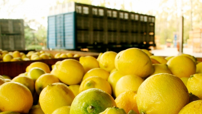 Limones argentinos en la India