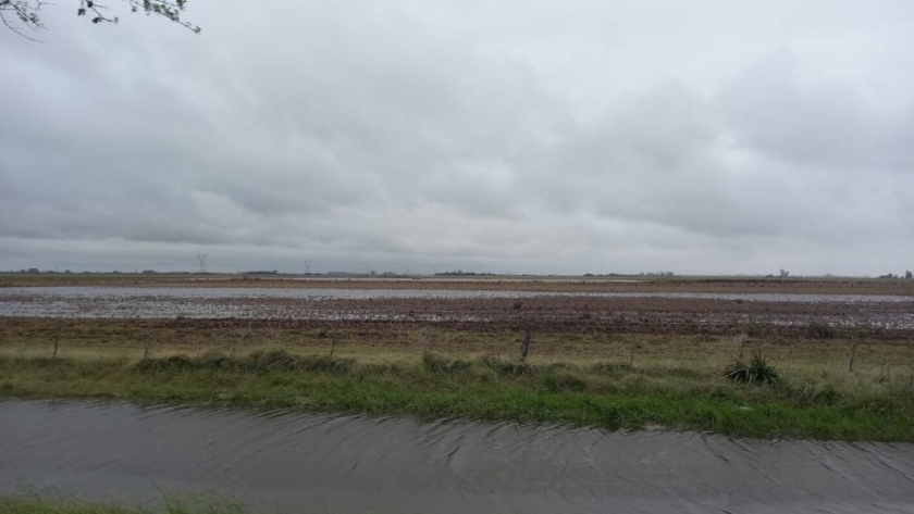 El regreso de El Niño abre una campaña con alto potencial productivo, pero crecen las alertas por inundaciones