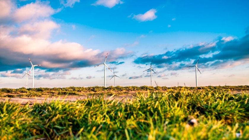 Las energías renovables sobreviven al cambio 