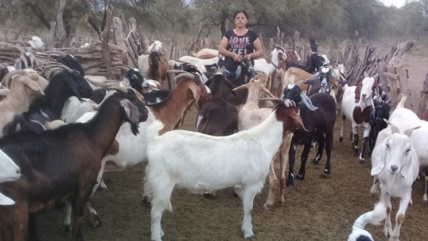 El INTA apuesta por la perspectiva de género en las comunidades rurales de Bajo de Luca y Chañar