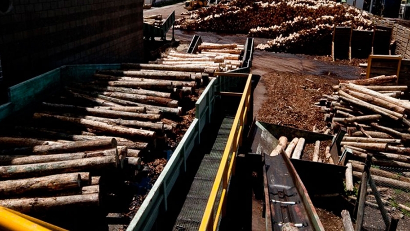 Corrientes: Industria maderera se instala en el sur de la provincia