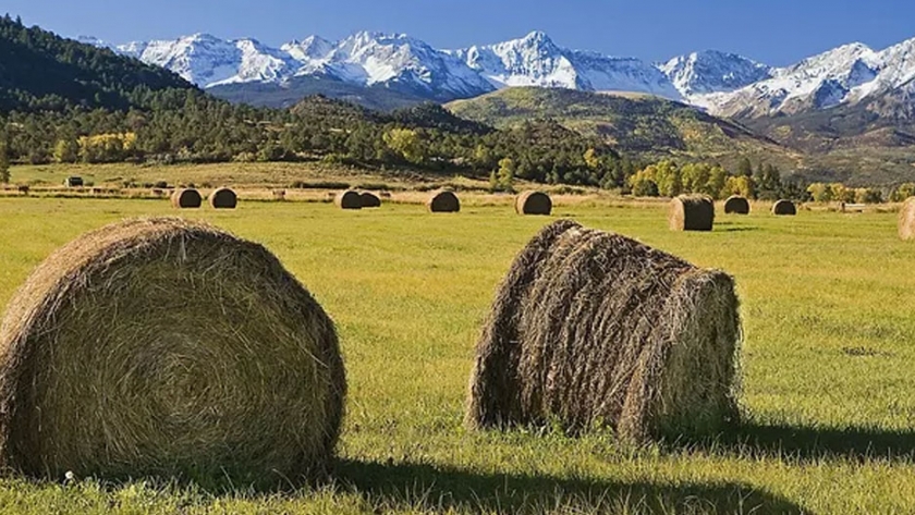 Prestadores locales participaron de un encuentro enriquecedor sobre turismo rural