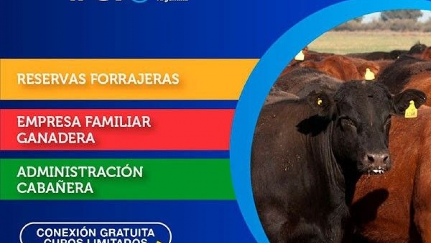 Tres nuevos cursos virtuales del Ipcva