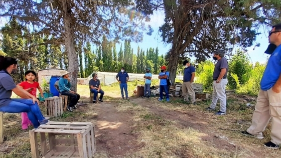Coordinan acciones de la Agricultura Familiar, Campesina e Indígena en Patagonia Norte