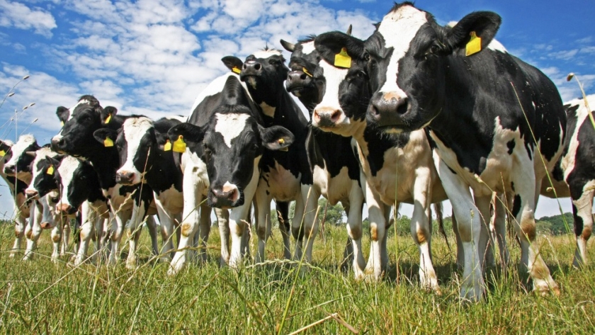 La demanda de carne enfrenta límites ante la caída del poder adquisitivo en Argentina