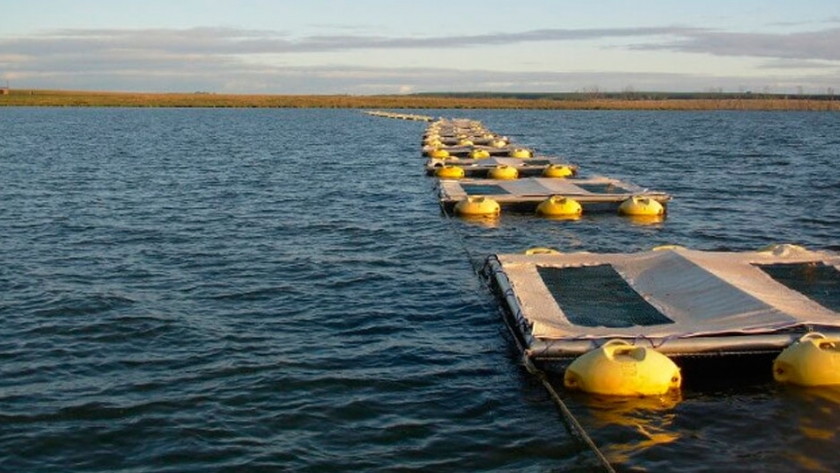 Piscifactoría sustentable en Misiones