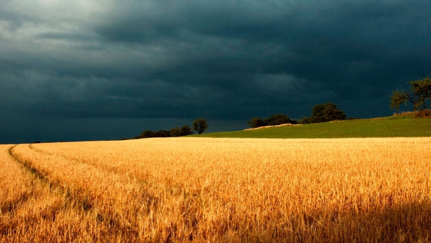 Inventan aplicación para el manejo del clima en el campo