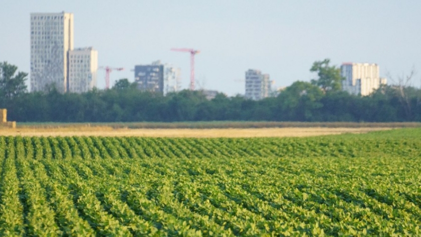 Derribando mitos sobre el uso de fitosanitarios: la verdad detrás de la agricultura responsable