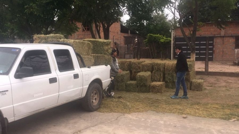 Pequeños productores de Santa Victoria Este recibieron forraje por la Emergencia Agropecuaria