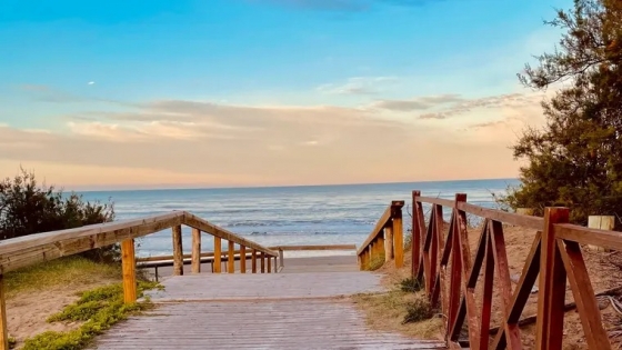 Costa del Este, la playa donde el bosque marca el ritmo del descanso