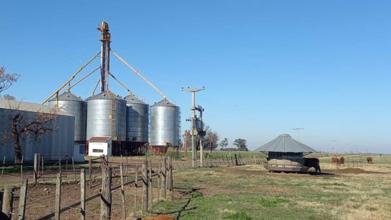La tierra agrícola de la Zona Núcleo volvió a niveles récord y ya cotiza a US$ 17.900 por hectárea