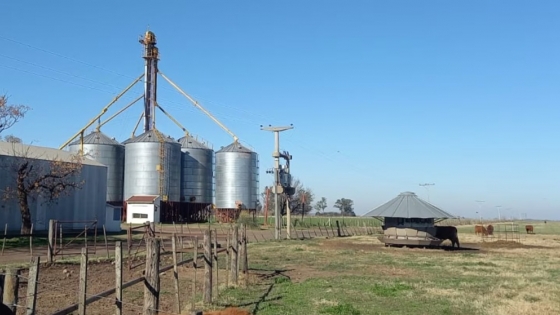 La tierra agrícola de la Zona Núcleo volvió a niveles récord y ya cotiza a US$ 17.900 por hectárea