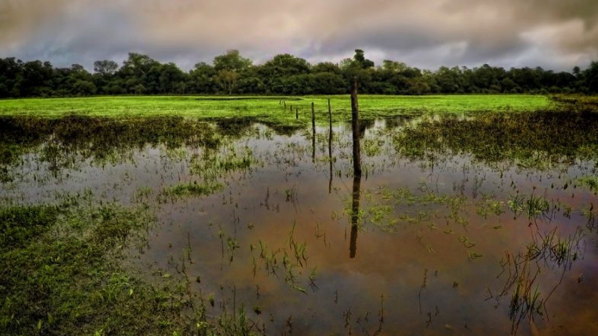 Chaco Sostenible: Concluyeron las primeras reuniones de las comisiones del consejo provincial del ambiente