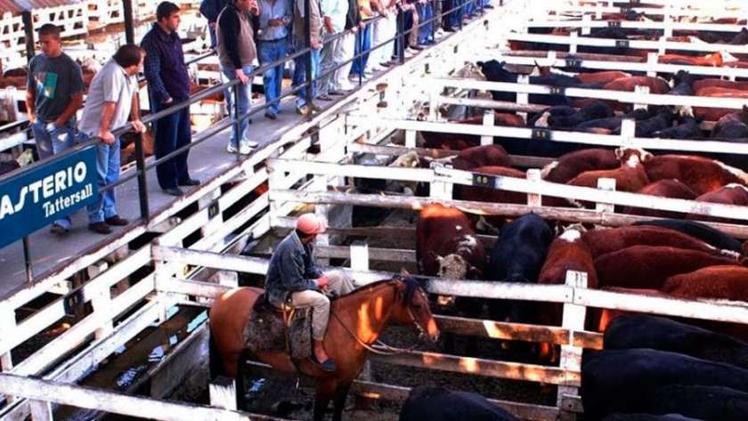 El paro agropecuario ya se siente en el Mercado de Liniers: cayó 90% el ingreso de animales