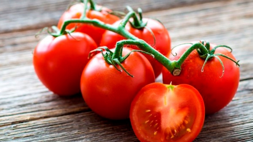 Buscan recuperar el sabor de los tomates