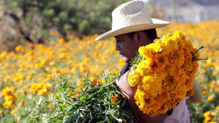 Programa de Asistencia para Floricultores