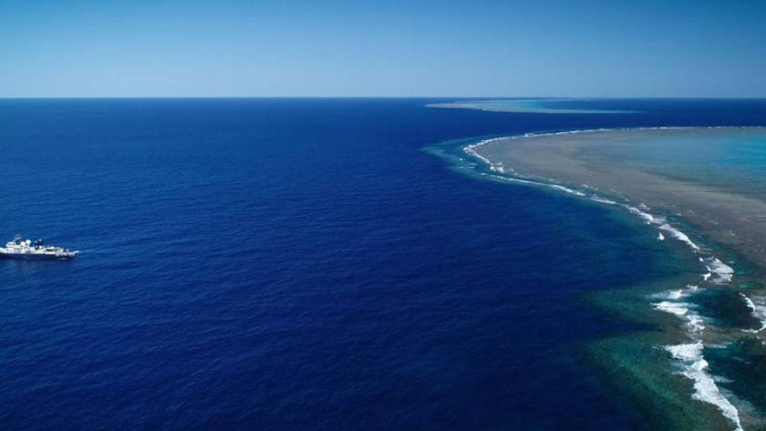 Nuevo hallazgo en la Gran Barrera de Coral