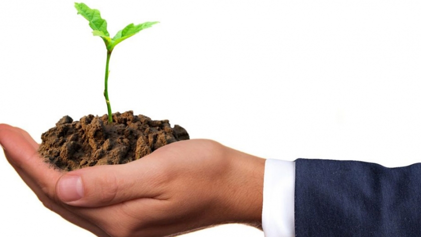 Fomentar el desarrollo sustentable de la horticultura