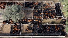 Por qué la hacienda subió en todo el mundo