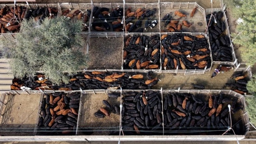 Por qué la hacienda subió en todo el mundo