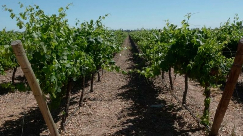 El punto cero del vino argentino