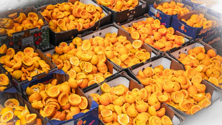 El mercado frutihortícola "Comunidad Boliviana" de Escobar contará próximamente con un biodigestor