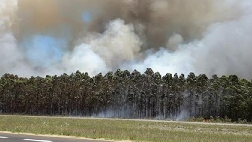 Se renuevan las advertencias por riesgo de incendios forestales