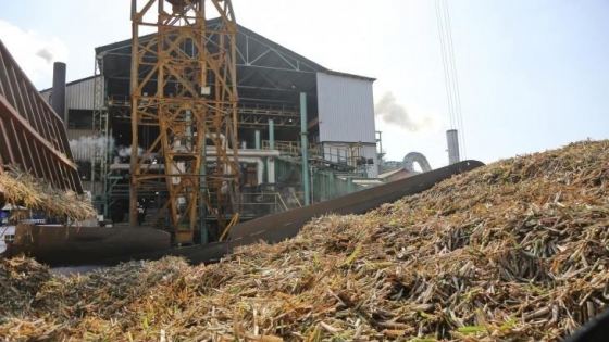 La zafra tucumana alcanza el 99% y marca un crecimiento del 7% en la molienda de caña