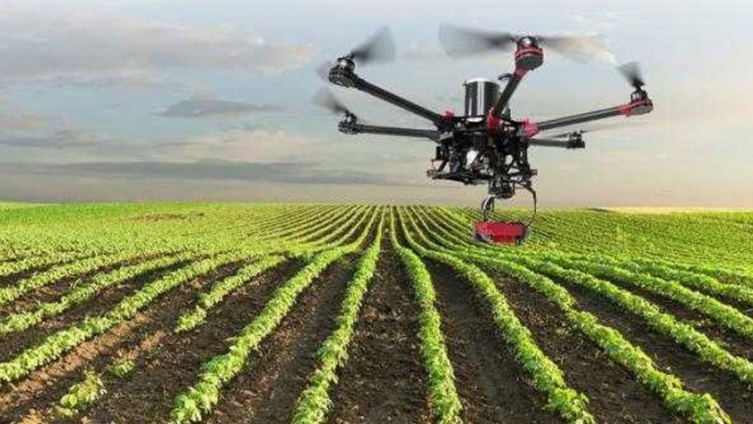 La IA pasa a la clandestinidad: el crecimiento del cultivo de raíces se predice con imágenes de drones