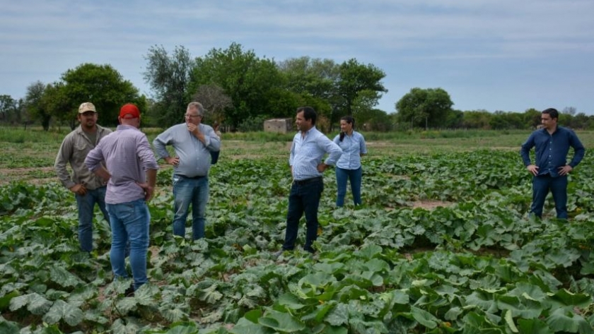 Funcionarios provinciales visitaron a productores de Castelli y destacaron el potencial de autoabastecimiento de la provincia