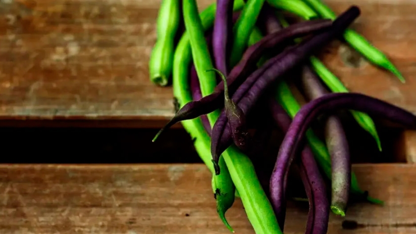¿Cómo cultivar Arvejas?
