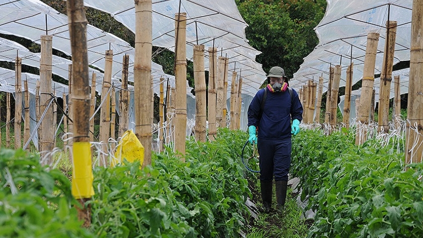 Chubut presentó el Proyecto de Bioinsumos ante Nación