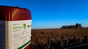 El Senasa dictó un nuevo protocolo para la venta de agroquímicos: cómo deberán ser los envases