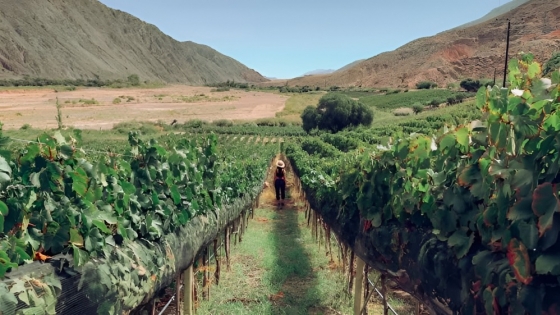 Maimará consolida su Ruta del Vino de Altura