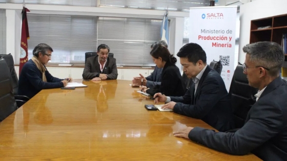 Salta busca duplicar la producción de litio con nuevas inversiones