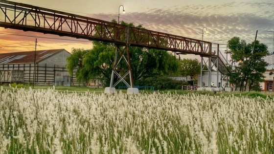 Rawson, el pueblo bonaerense que impulsa su Fiesta del Alfajor