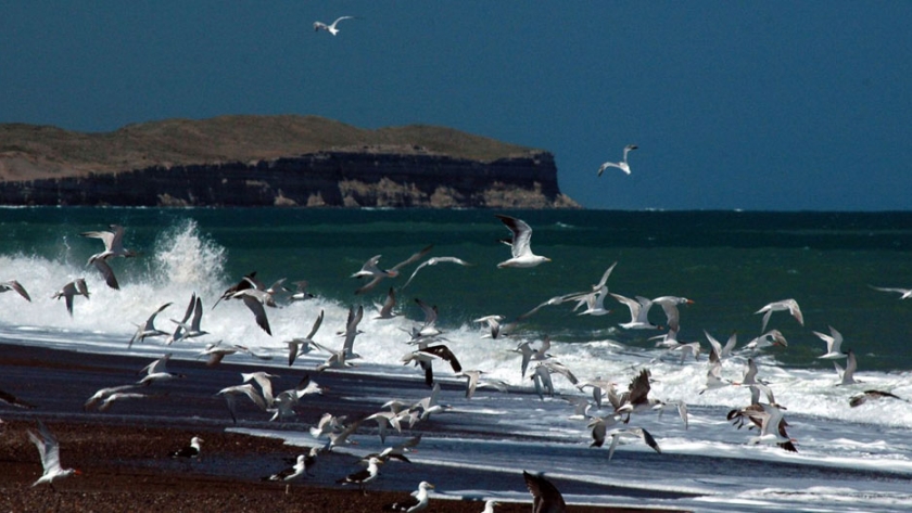 Con fondos provinciales, el Municipio de Viedma construirá un muelle de pescadores en desembocadura del balneario El Cóndor
