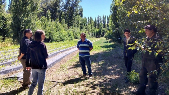 Realizan relevamientos en áreas productivas y uso del recurso hídrico en Perito Moreno y Los Antiguos