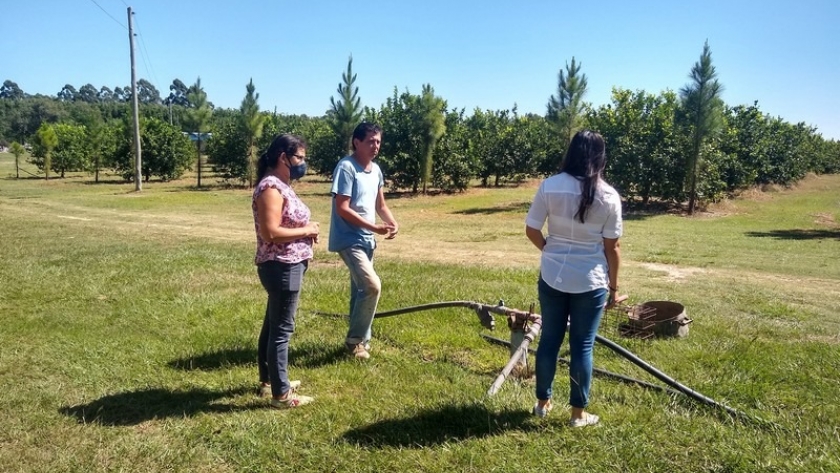 BPA Obligatorias: primeras visitas a establecimientos citrícolas de Bella Vista